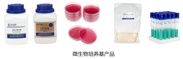 北京陸橋與您相約全國(guó)科普日 助力國(guó)家科技,守護(hù)“舌尖上的安全” 北京陸橋與您相約全國(guó)科普日 助力國(guó)家科技,守護(hù)“舌尖上的安全”