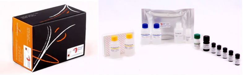 牛奶酪蛋白的檢測(cè) 牛奶酪蛋白的檢測(cè)