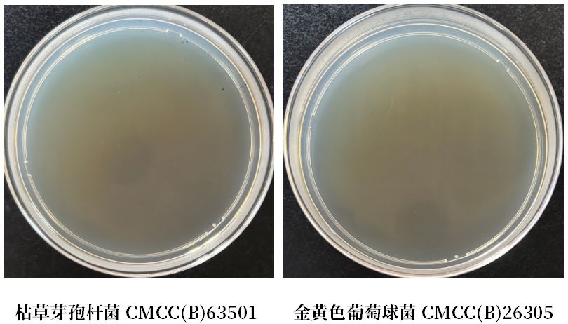 GB 4789.38－2025《食品安全國家標準　食品微生物學檢驗　大腸埃希氏菌計數(shù)》解讀